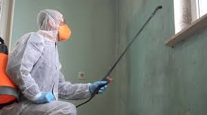 Best Emergency Mold Remediation  in The Woodlands, TX